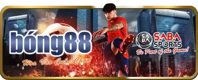 Các chiến lược cá cược thể thao hiệu quả tại appev99